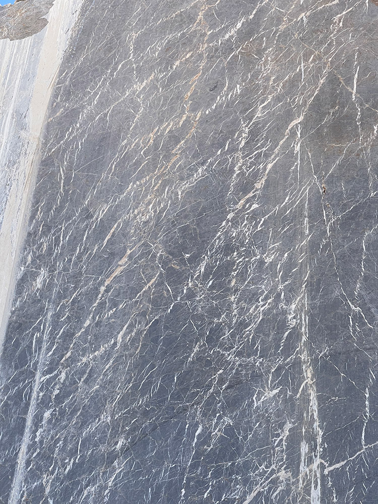 Arlo-Marble-Vena-p11